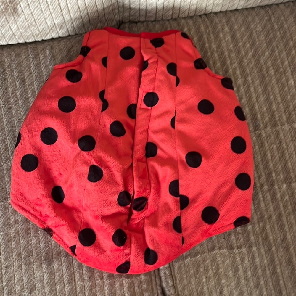 Ladybug 🐞 Halloween costume!!  0-12mon w/hat